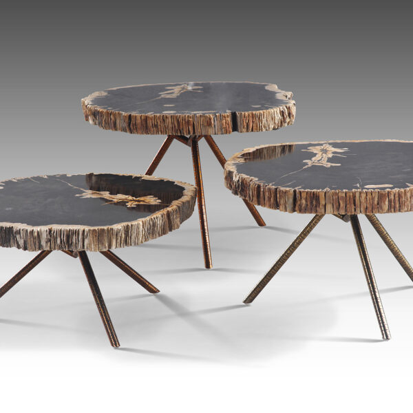 Poppy Petrified Wood Trio Nestling Coffee Table set