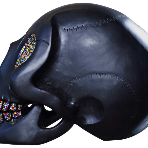 Meh Wood Skull Sculpture with Swarovski Crystal - Rainbow