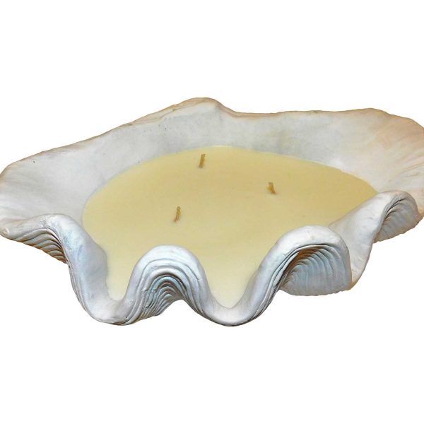 Candle Clam