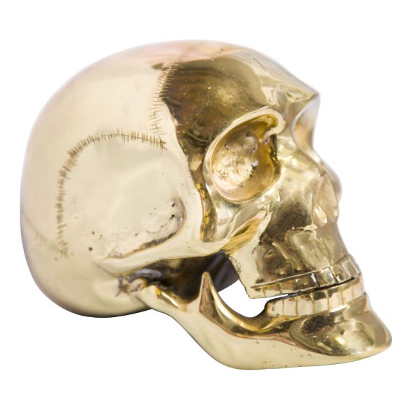 Brass Skull (small)
