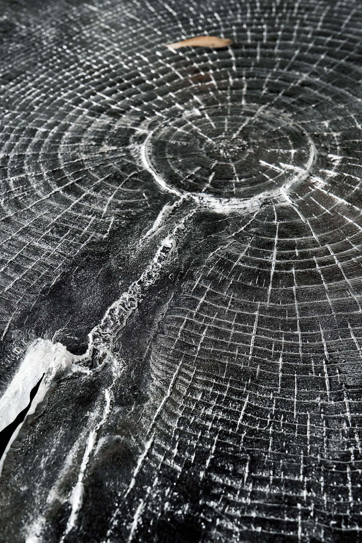 Wood Grain Coffee Table